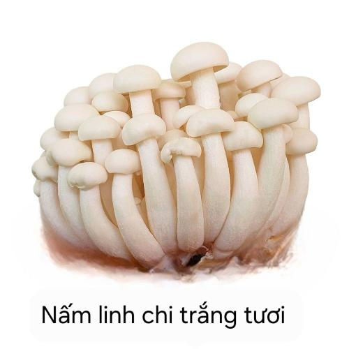 Nấm Linh Chi Trắng Làm Món Gì Ngon?