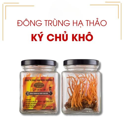 Đông Trùng Hạ Thảo Ký Chủ Khô