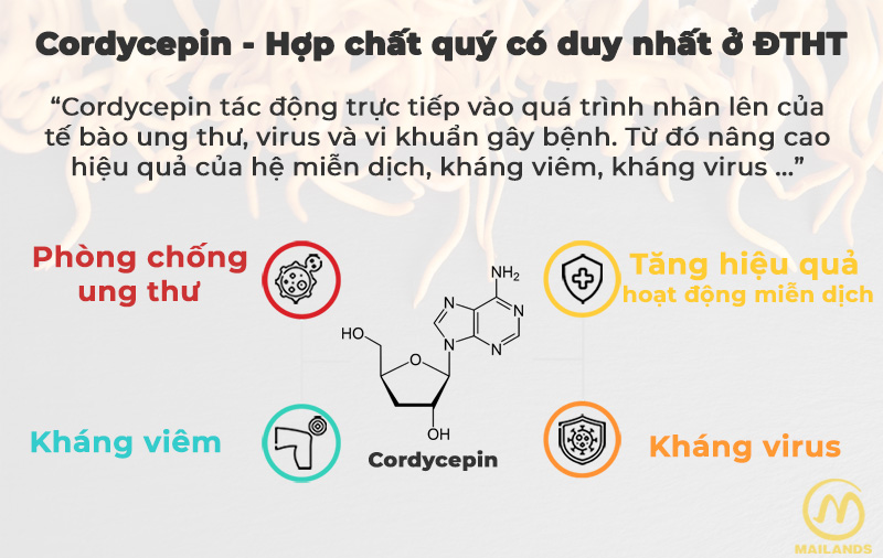 Kháng viêm, phòng bệnh do virus gây ra