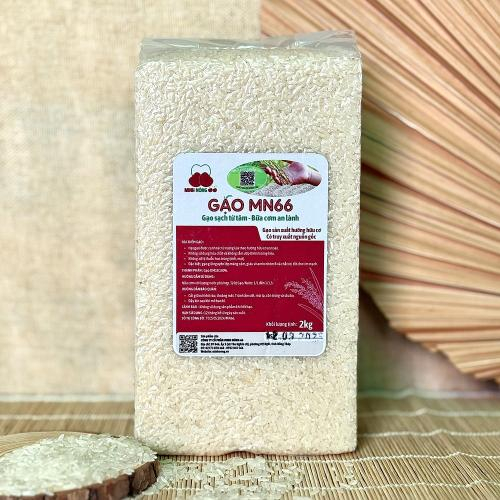 Gạo MN66 Túi 2kg