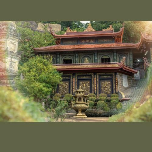 Chốn Thiền Trên Núi – Giữa Sắc Đỏ Hoa Phượng