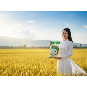 Gạo Hương Sữa R20 Điền Tín 5 Kg – 100% Tự Nhiên, Cơm Trắng Mềm Xốp Thơm Ngon