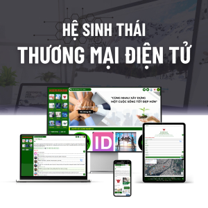 Hệ Sinh Thái Thương Mại Điện Tử 34 Tỉnh Thành